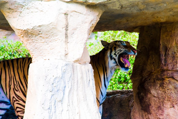 Read more about the article Elephanta Caves Tour as Part of Your Mumbai Darshan